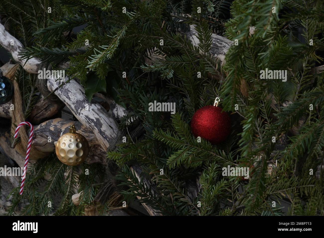 Weihnachtsbälle und weihnachtliche Zuckerstangen sind als saisonale Dekoration im Freien auf Nadelzweigen angeordnet. Stockfoto
