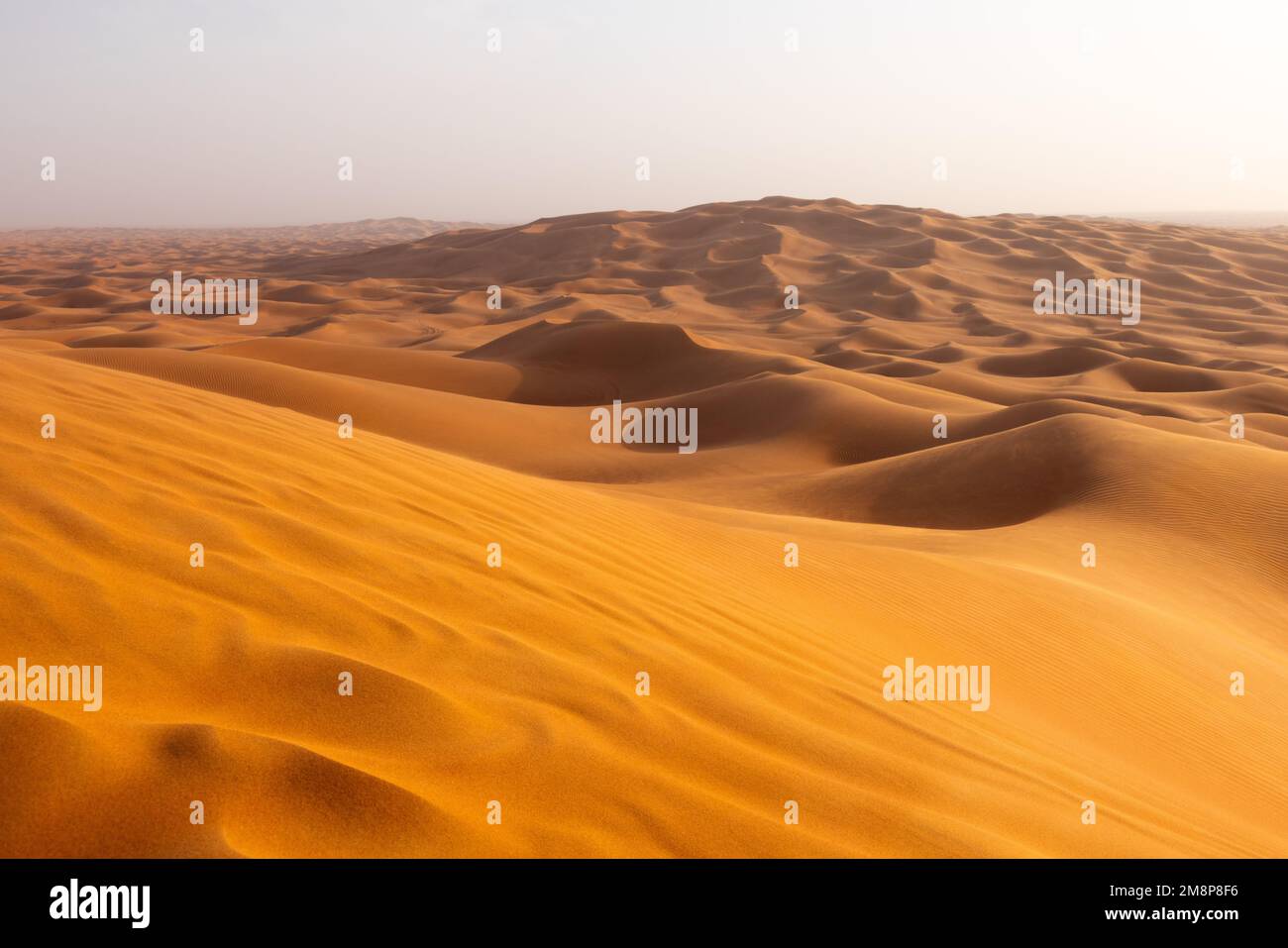 Das rote Deset außerhalb von Dubai, mit einer Düne im Vordergrund und einem Dünen, die sich bis zum Horizont im Hintergrund erstrecken Stockfoto