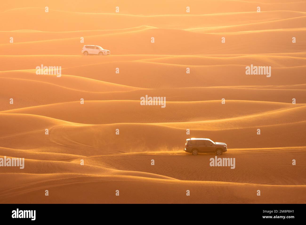 Zwei Geländewagen fahren während der goldenen Stunde über den Dünen in einer sandigen Landschaft Stockfoto