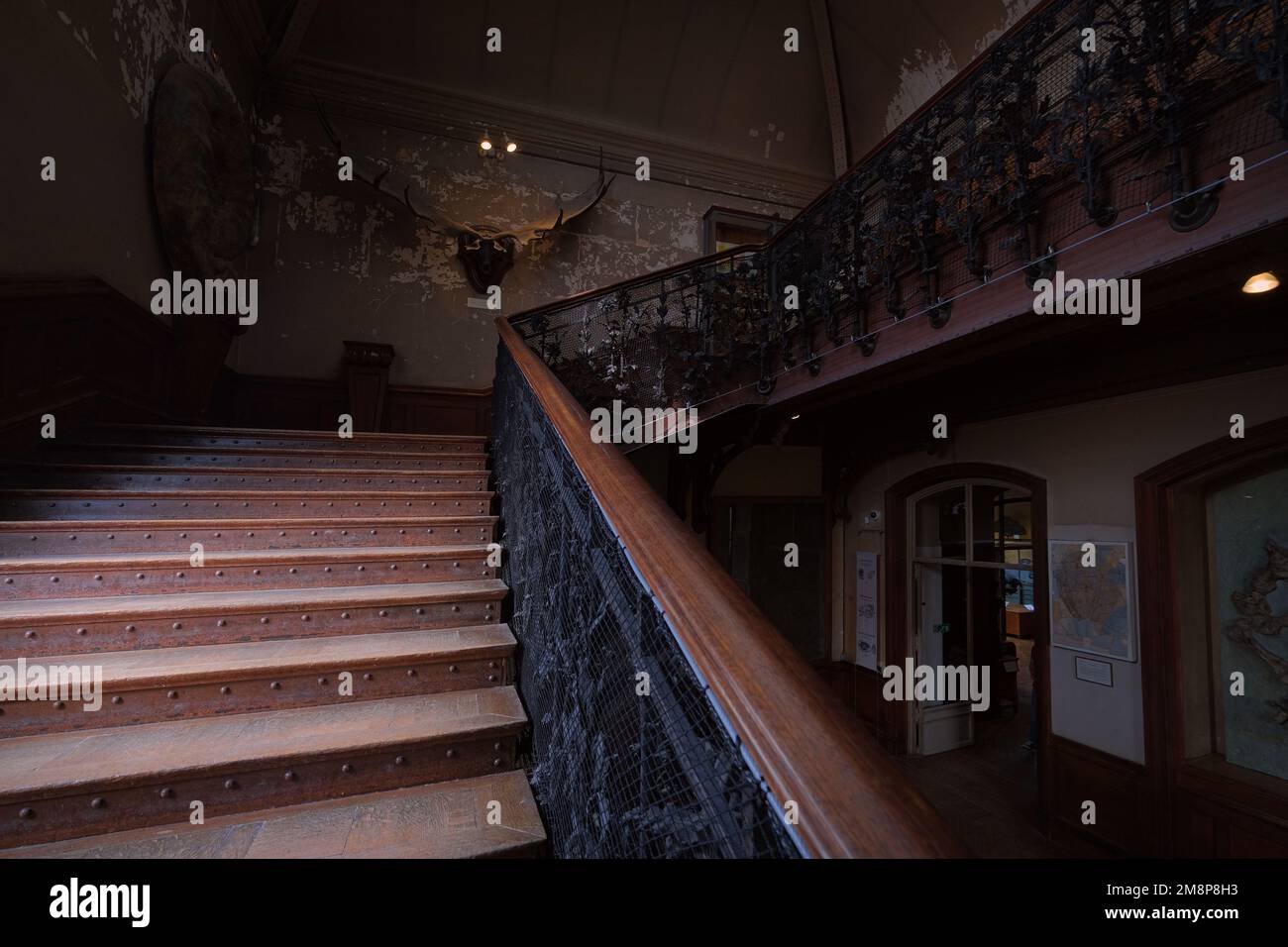 Paris, Frankreich - Mai 2022: Pariser Naturkundemuseum Fossilien aus der Galerie Paläontologie und vergleichende Anatomie Stockfoto
