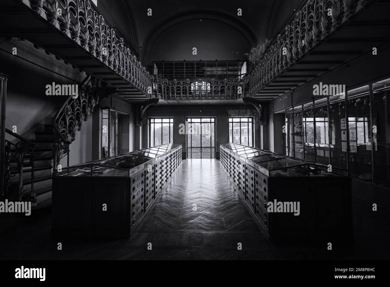 Paris, Frankreich - Mai 2022: Pariser Naturkundemuseum Fossilien aus der Galerie Paläontologie und vergleichende Anatomie Stockfoto