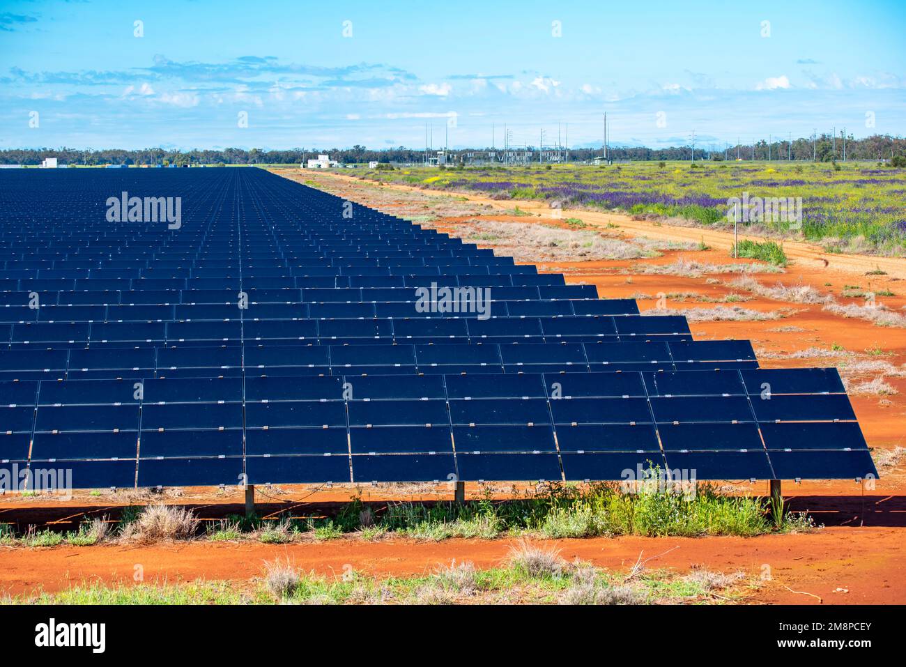 Die große Solarpaneelfarm Nyngan im Nordwesten von New South Wales, Australien, umfasst 288Ha ha Land und produziert jährlich 233.000 Megawattstunden Strom Stockfoto