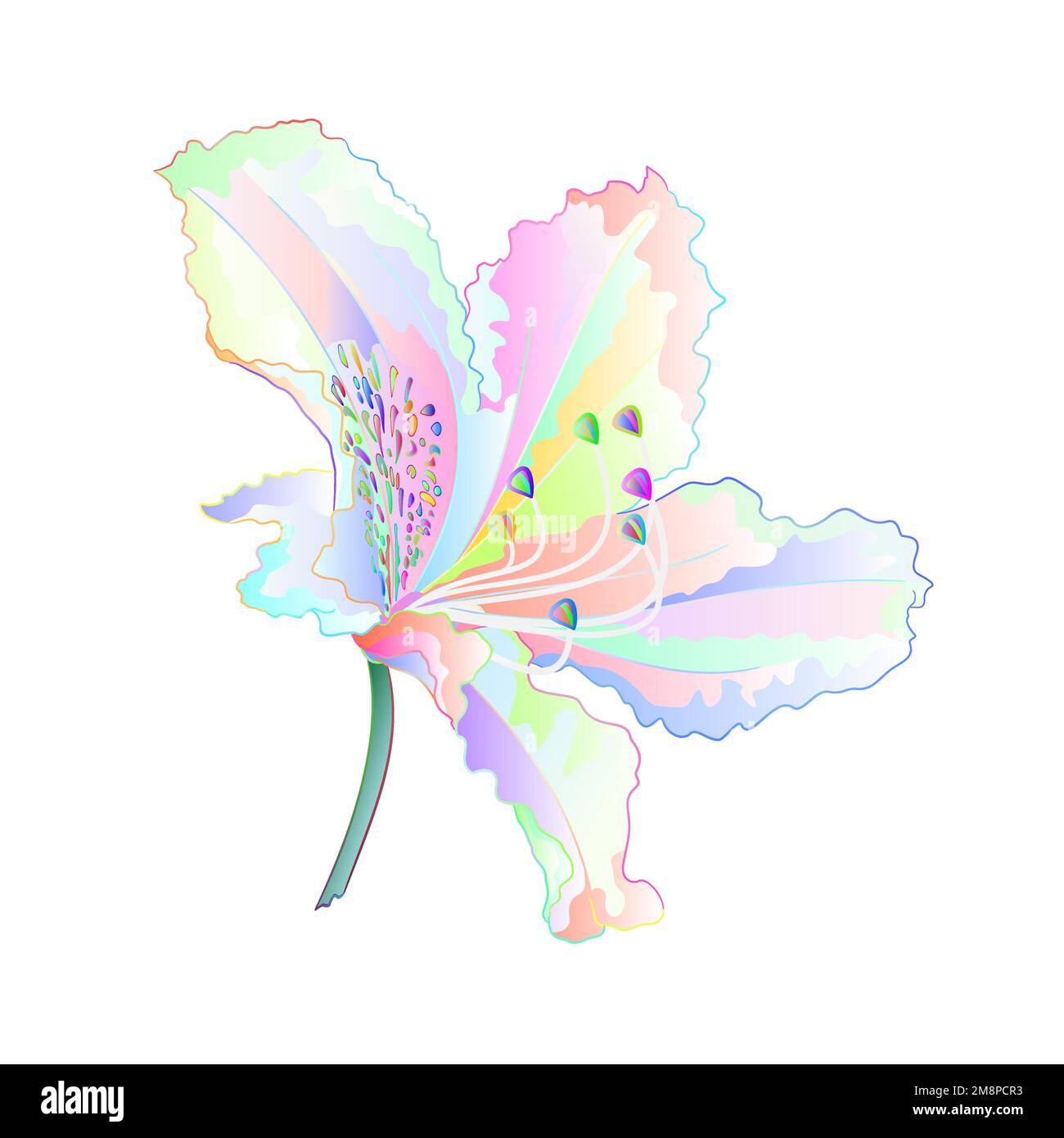 Blume varicolor helle Blume Rhododendron Bergstrauch auf weißem Hintergrund Vintage Illustration editierbare Handzeichnung Stock Vektor