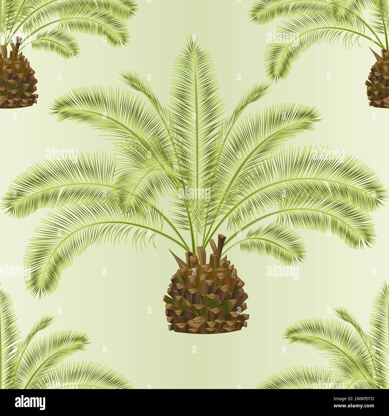 Nahtlos texturierte tropische Pflanze Palmae Phoenix canariensis datiert Palme Arecaceae und Blätter auf weißem Hintergrund Vintage-Vektor-Illustration editierbar Stock Vektor