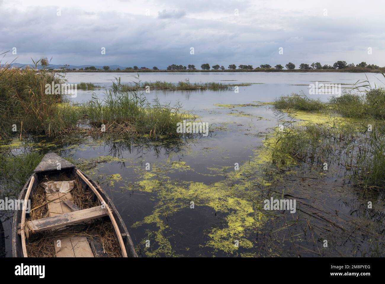 Boot im Naturpark Delta de l'Ebre, Katalonien Stockfoto