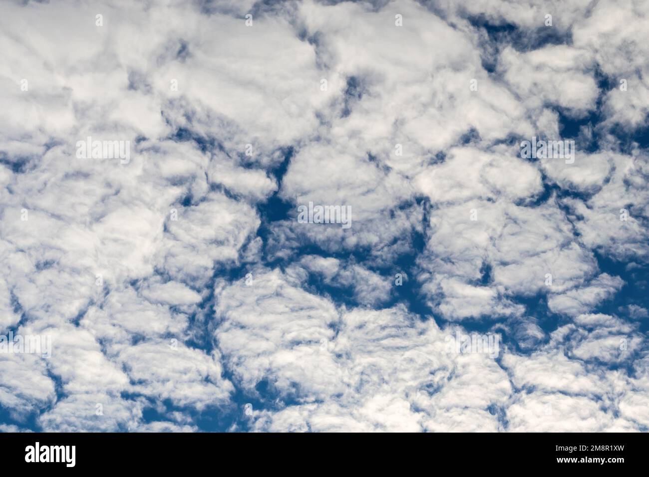 Altocumulus Wolke - weiße Wolken am blauen Himmel Stockfoto