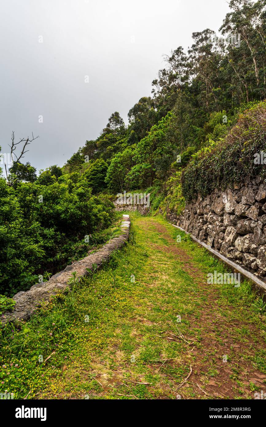 Wanderweg Vereda do Pico über Porto Moniz auf Madeira Stockfoto