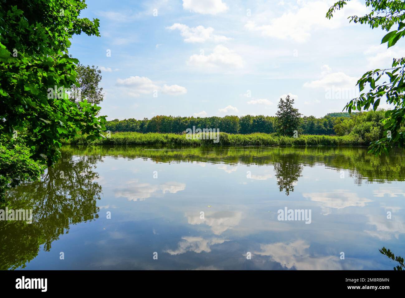 Ruhr im Naturschutzgebiet Mühlenstrang. Natur am Fluss im Schutzgebiet bei Schwerte. Stockfoto