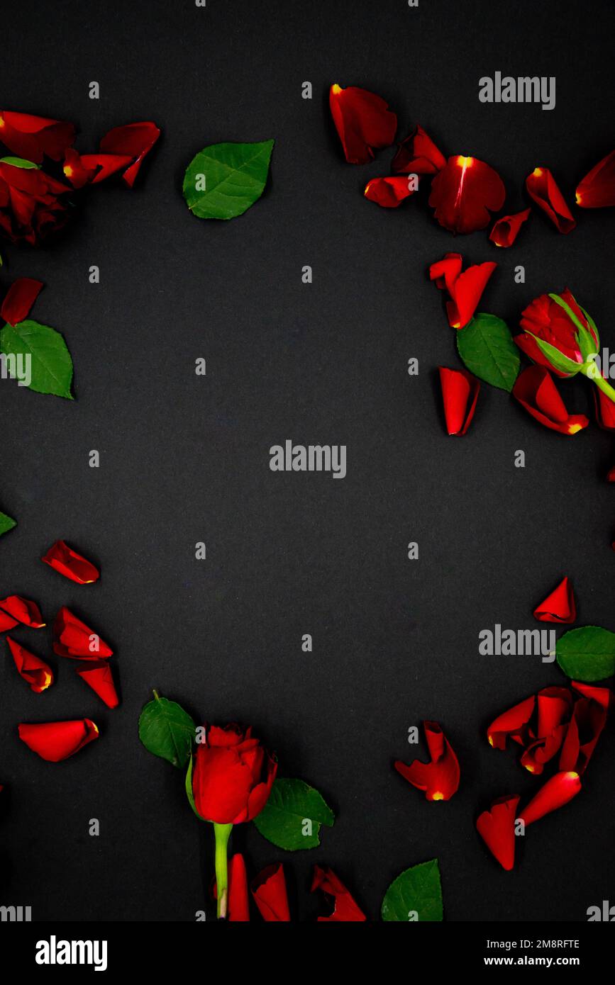 Ein Haufen heller roter Rosenblüten auf schwarzem Hintergrund Stockfoto