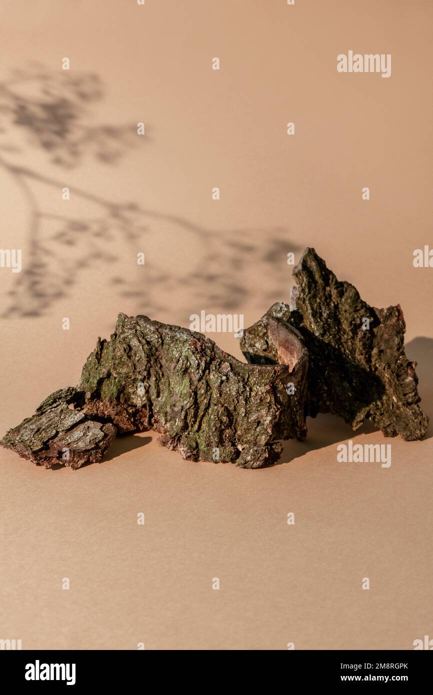 Holz zeigt die Naturzusammensetzung gerissene Rinde Stockfoto