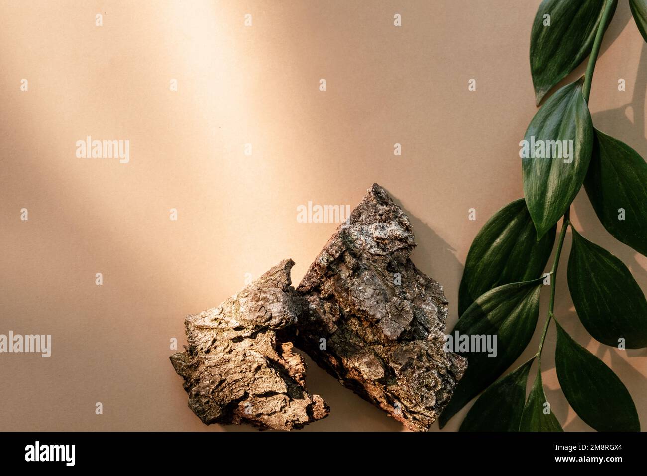 Naturzusammensetzung Öko-Dekoration Rindenblätter aus Holz Stockfoto