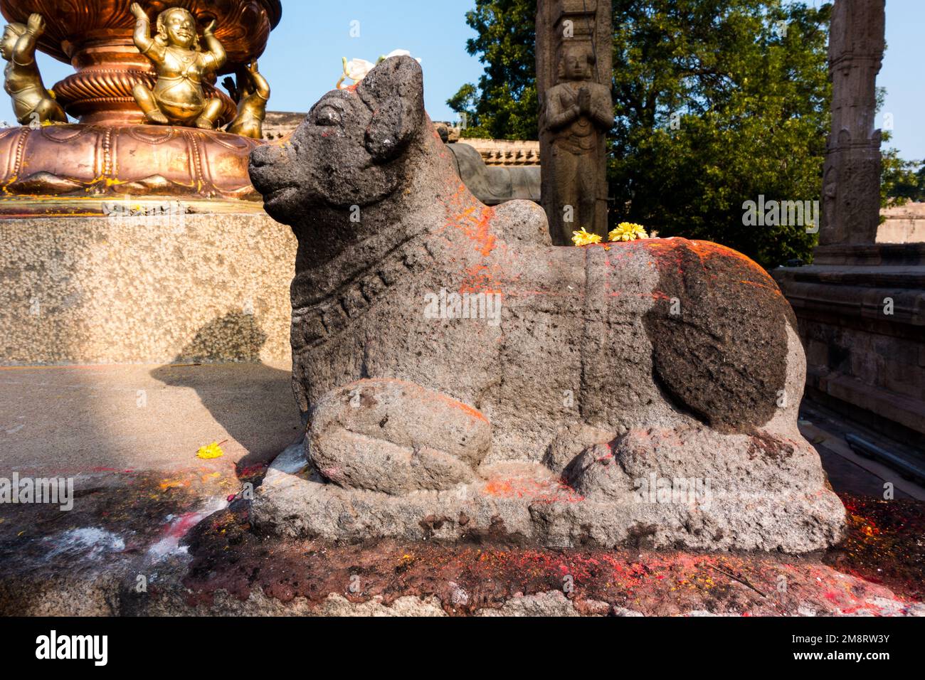 Nandi-Statue auf dem Tempelgelände des Brihadisvara-Tempels Stockfoto