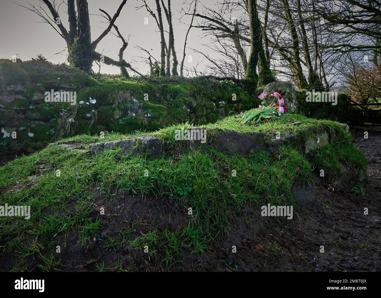 Jay's Grab, Dartmoor National Park, Devon, Großbritannien Stockfoto