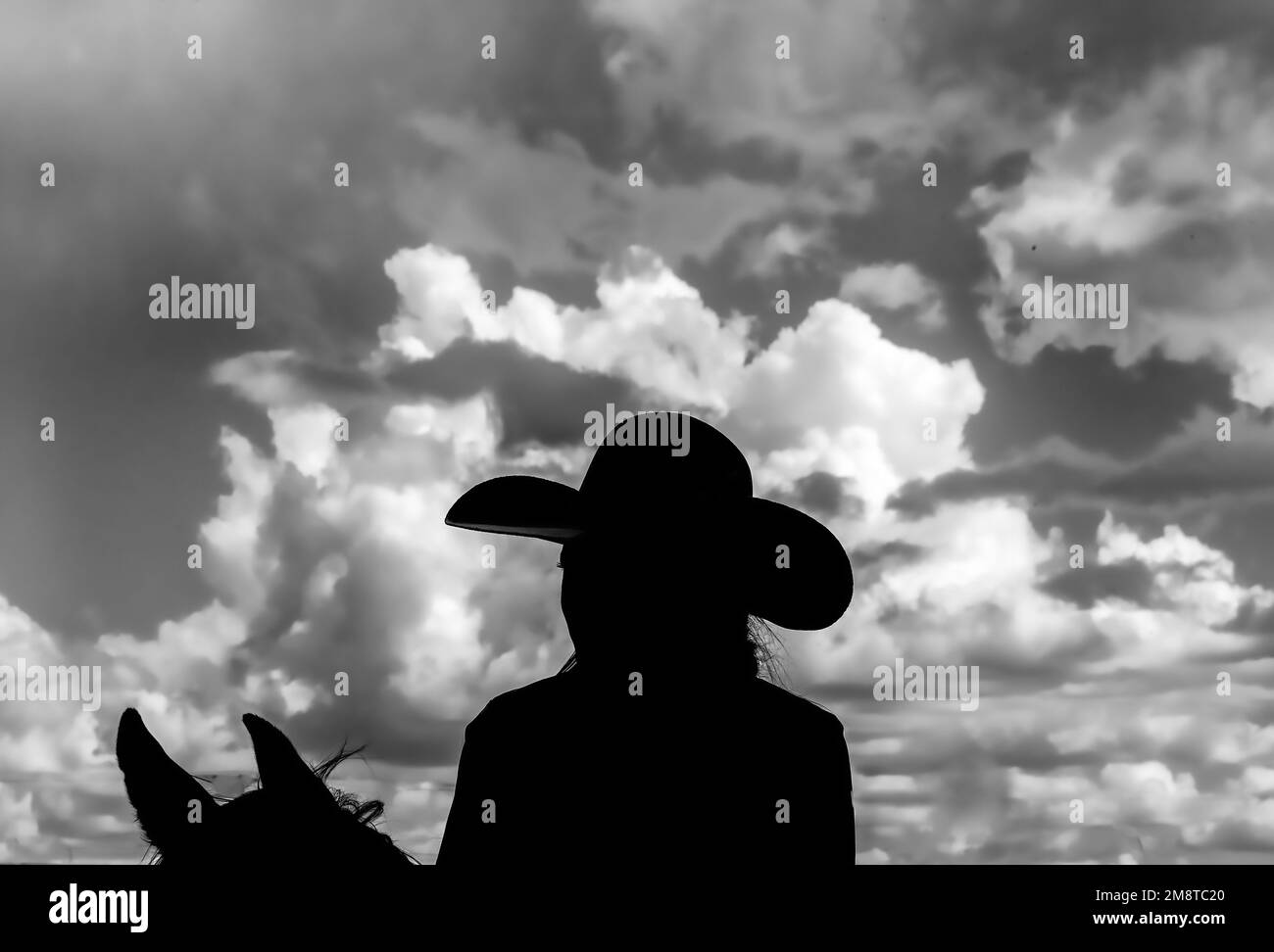 Die Silhouette einer Frau mit Cowgirl-Hut auf Wolkenhintergrund Stockfoto