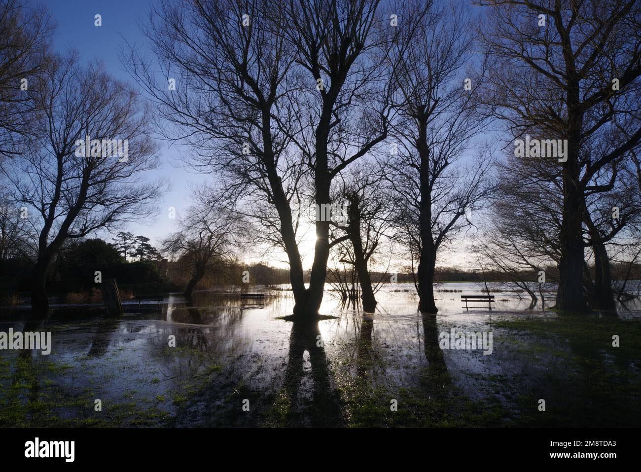 Der Fluss Avon in Salisbury Wiltshire platzt seine Ufer nach Wochen sintflutartiger Regenfälle im Südwesten des Vereinigten Königreichs bis Januar 2023. Zu Beginn des Neujahrs 2023 gab es Wochen des Regens, in denen die Flüsse in Großbritannien ihre Ufer zu platzen begannen. Der Fluss Avon gehörte dazu. Stockfoto
