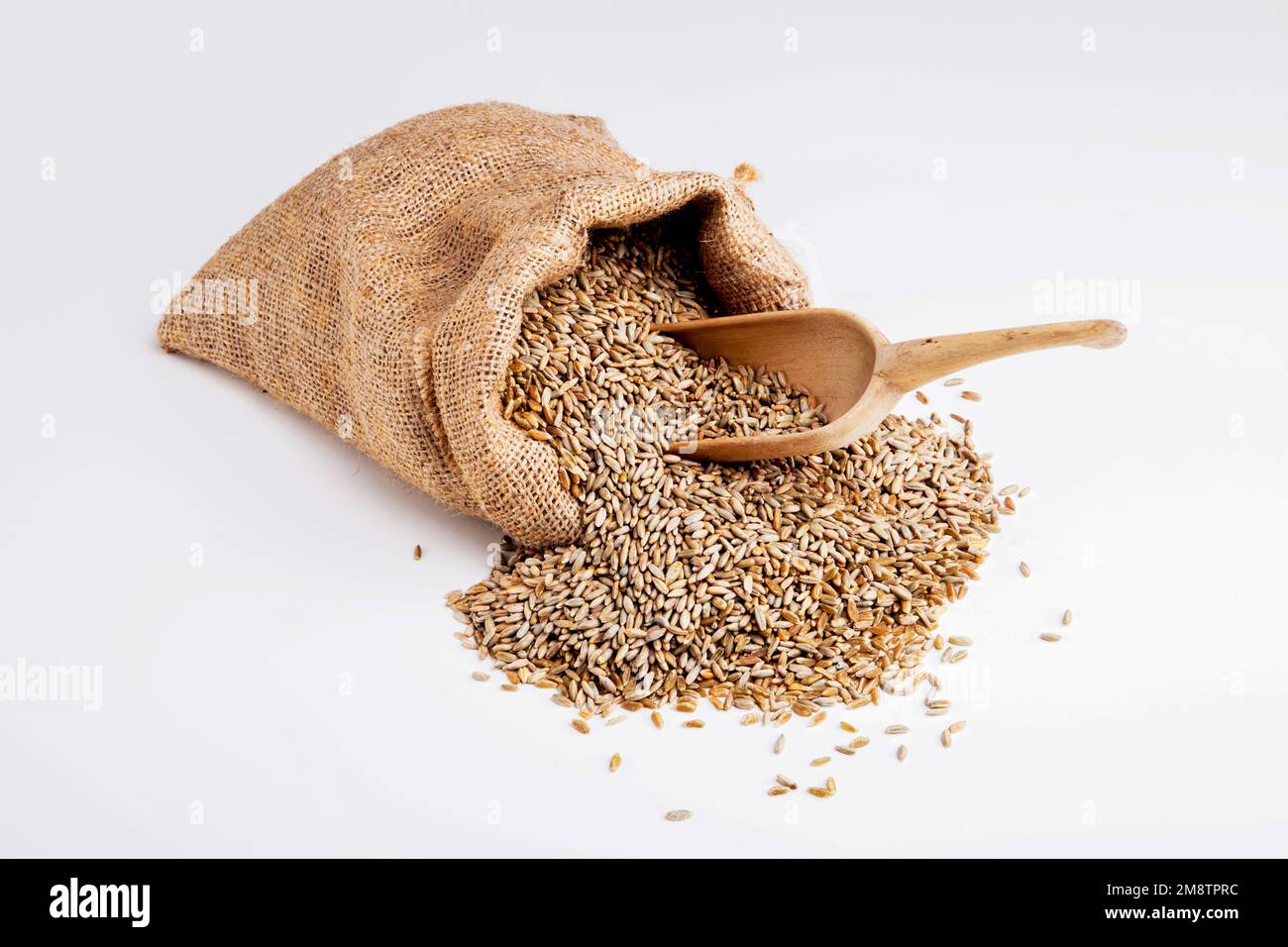 Roggen im Jutesack, isoliert Stockfoto