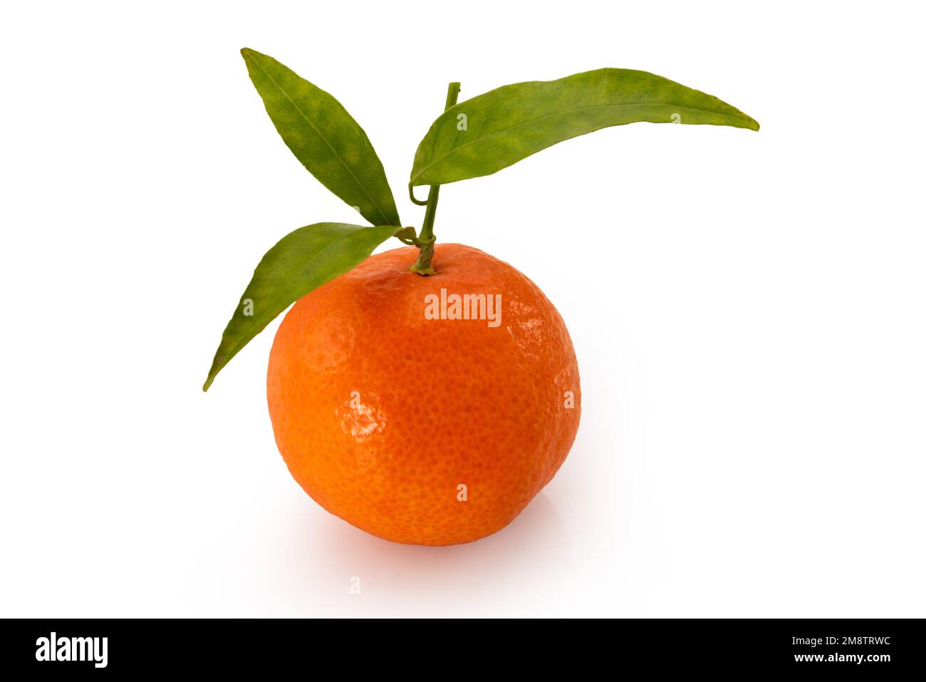 Reife Mandarine mit grünen Blättern, Mandarin isoliert auf weiß mit Schnittweg Stockfoto