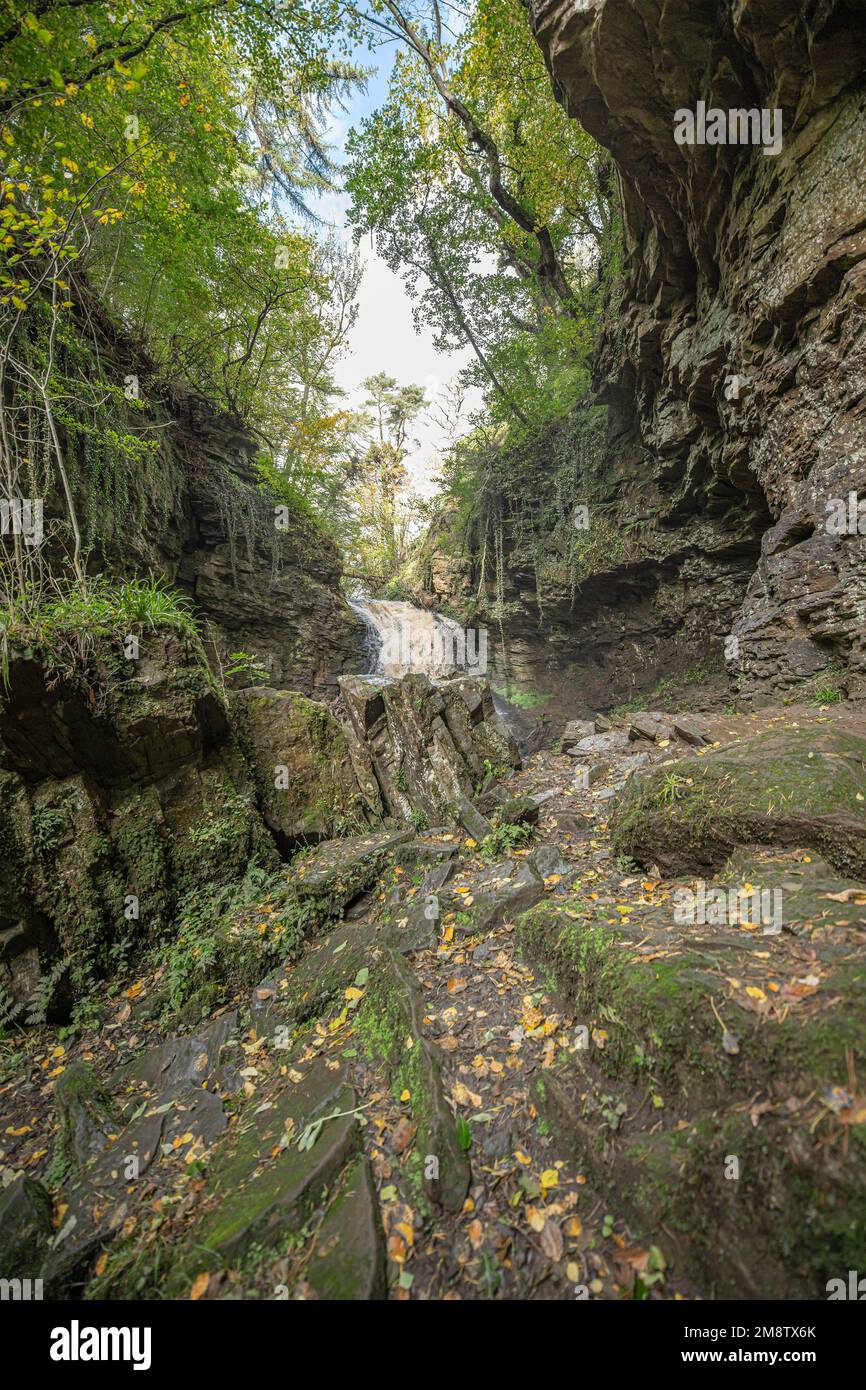 Wir nähern uns dem Hareshaw-Linn-Wasserfall Stockfoto