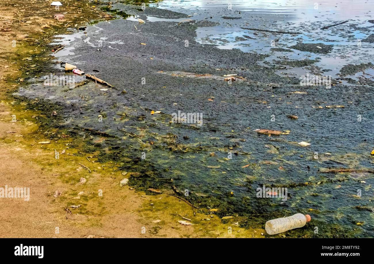 Dreckiges Grün verschmutzt und Müllfluss in Zicatela Puerto Escondido Oaxaca Mexiko. Stockfoto