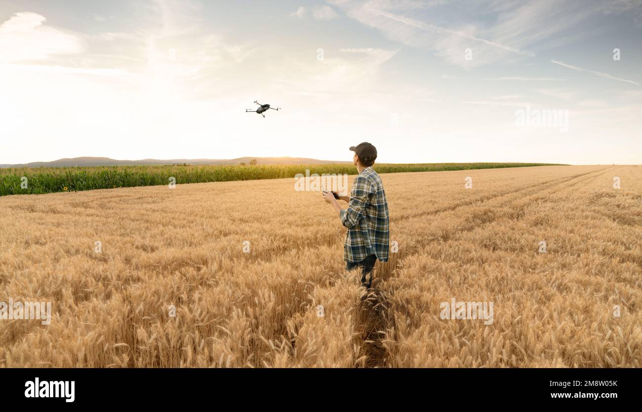Der Bauer kontrolliert die Drohne. Intelligente Landwirtschaft und Präzisionslandwirtschaft Stockfoto