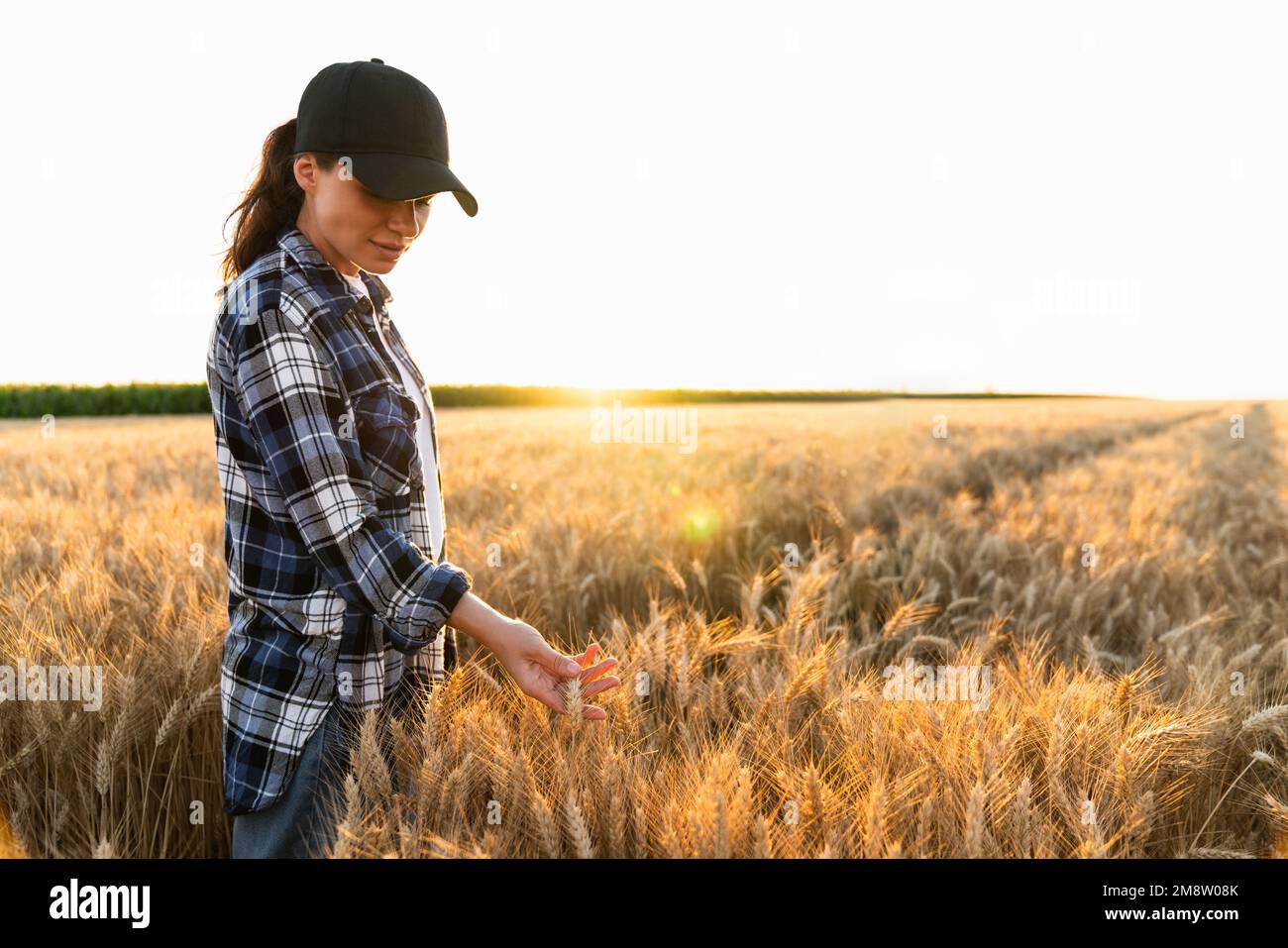 Die Bäuerin berührt auf einem landwirtschaftlichen Feld die Ähren des Weizens Stockfoto