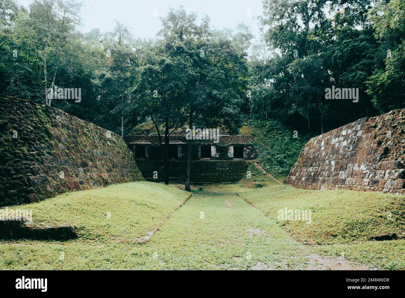 Maya-Pelota-Spielplatz in Yaxha maya-Ruinen Stockfoto