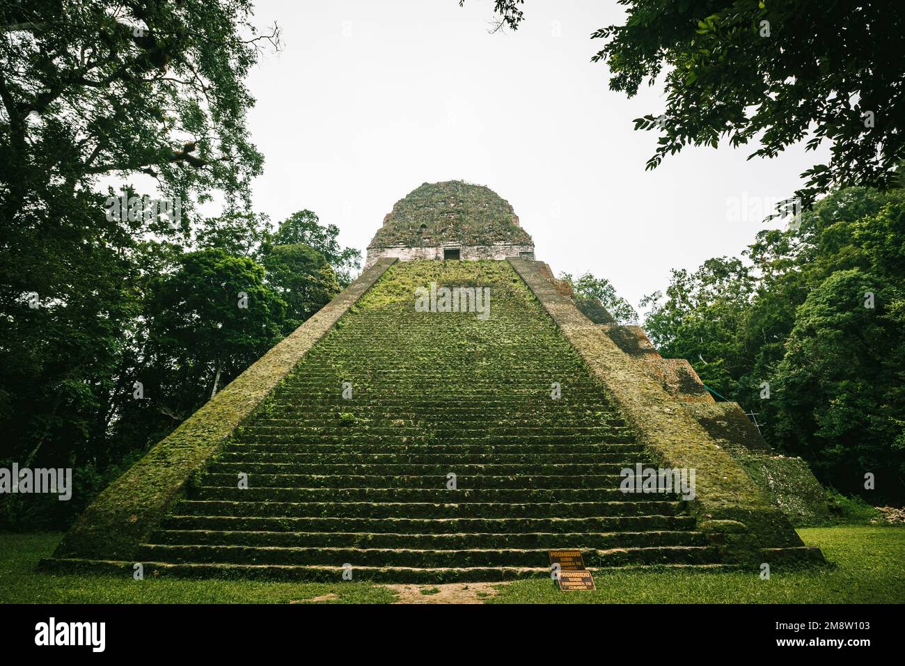 Treppe des Tempels V in der Stadt Tikal-maya Stockfoto