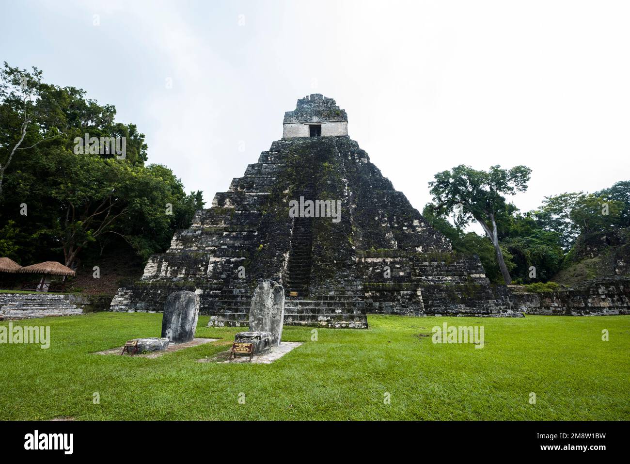 Stelen vor dem Tempel des großen jaguar in Tikal Stockfoto