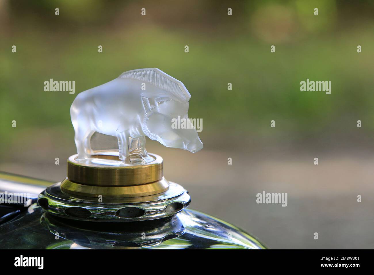 Sanglier en Cristal. Voiture de Collection Panhard. Frankreich. Europa. Stockfoto