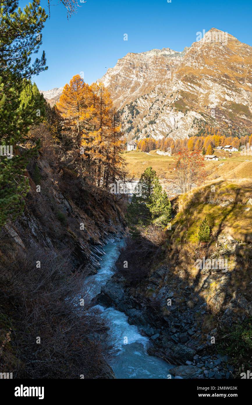 Toller Blick auf den Fluss Orlegna und die Schlucht in der Nähe des Maloja-Passes in der Schweiz an einem sonnigen Tag Ende Oktober Stockfoto