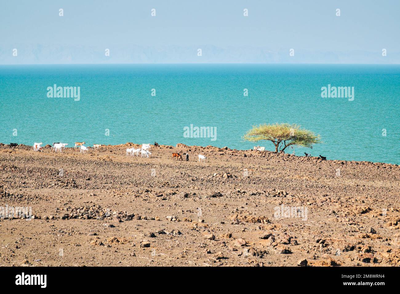 Malerischer Blick auf den Turkana-See von Loiyangalani in Turkana County Stockfoto