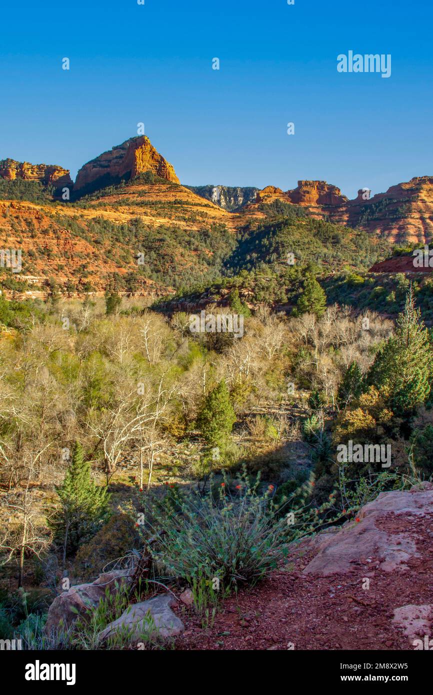 Coconino National Forest in Sedona, Arizona, USA. (2011) Stockfoto