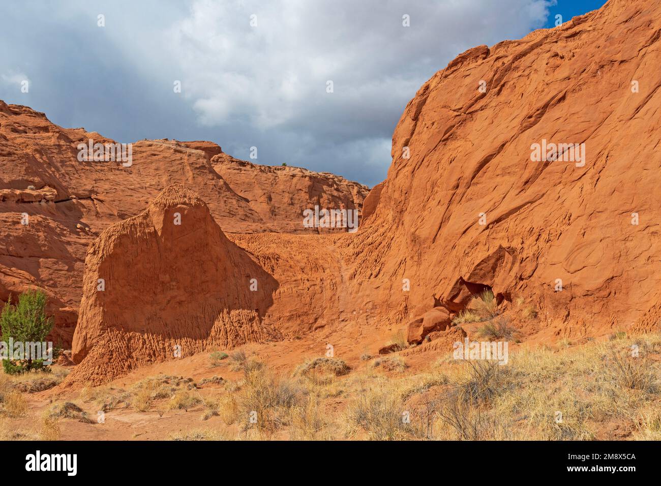 Verdrehte und erodierte Klippen in der Wüste im Kodachrome Basin State Park in Utah Stockfoto