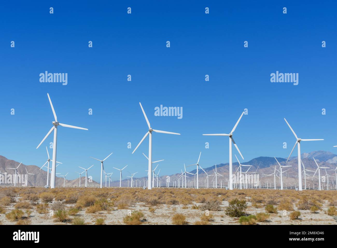 Windturbinenfarm für erneuerbare Energie am San Gorgonio Pass von der Indian Canyon Road in der Nähe von Palm Springs, Kalifornien, USA. Stockfoto