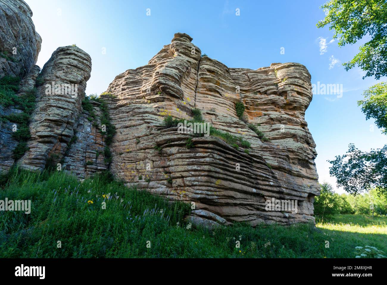 Ha-Steinwald in der inneren Mongolei Stockfoto