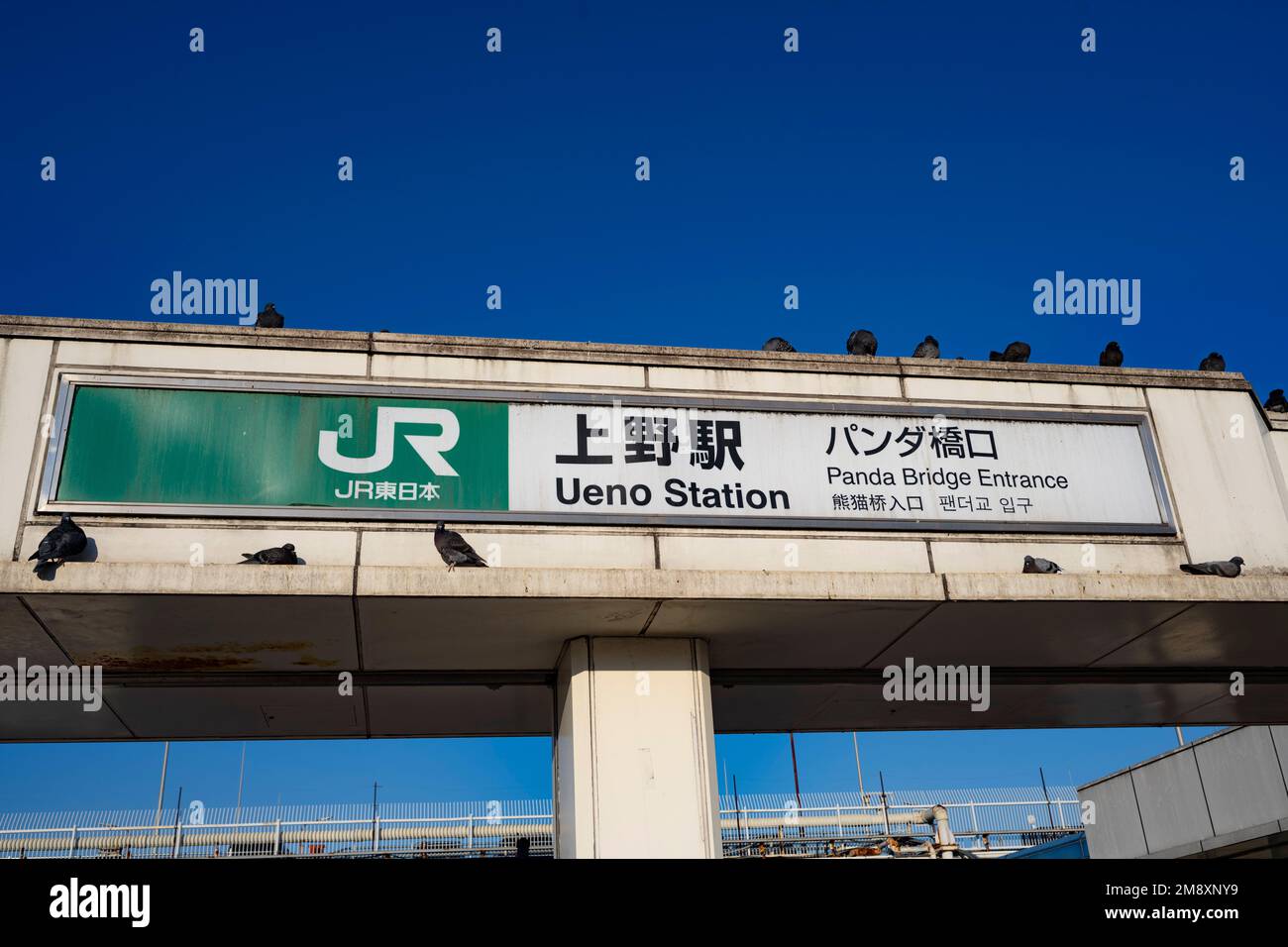 Tokio, Japan. 9. Januar 2023. Ostjapanische Eisenbahn Bahnhof Ueno.Bahnhof Ueno (¸Šé‡Žé) Ist ein wichtiger Verkehrsknotenpunkt im Norden Tokios. Es verkehren mehrere Bahnlinien, darunter die JR East-Linien Yamanote, Keihin-Tohoku, Takasaki und Utsunomiya, die Tokio Metro-Linien Ginza und Hibiya und die Ueno-Keisei-Linie der Keisei Electric Railway. Öffentlicher Nahverkehr, Großzug, Infrastruktur, Rush Hour, Pendelverkehr. (Kreditbild: © Taidgh Barron/ZUMA Press Wire) NUR REDAKTIONELLE VERWENDUNG! Nicht für den kommerziellen GEBRAUCH! Stockfoto