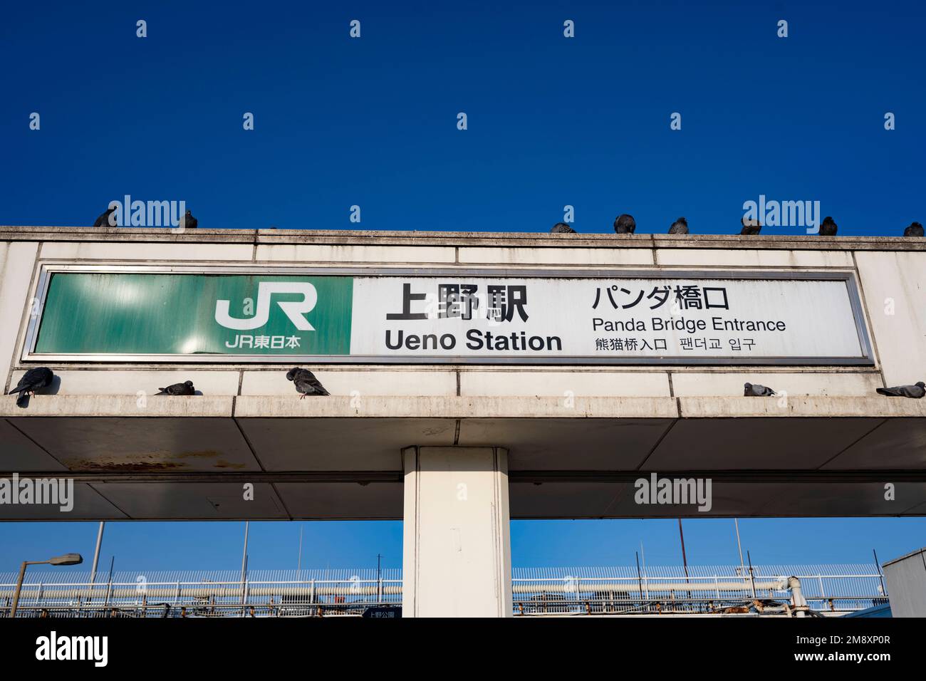 Tokio, Japan. 9. Januar 2023. Ostjapanische Eisenbahn Bahnhof Ueno.Bahnhof Ueno (¸Šé‡Žé) Ist ein wichtiger Verkehrsknotenpunkt im Norden Tokios. Es verkehren mehrere Bahnlinien, darunter die JR East-Linien Yamanote, Keihin-Tohoku, Takasaki und Utsunomiya, die Tokio Metro-Linien Ginza und Hibiya und die Ueno-Keisei-Linie der Keisei Electric Railway. Öffentlicher Nahverkehr, Großzug, Infrastruktur, Rush Hour, Pendelverkehr. (Kreditbild: © Taidgh Barron/ZUMA Press Wire) NUR REDAKTIONELLE VERWENDUNG! Nicht für den kommerziellen GEBRAUCH! Stockfoto