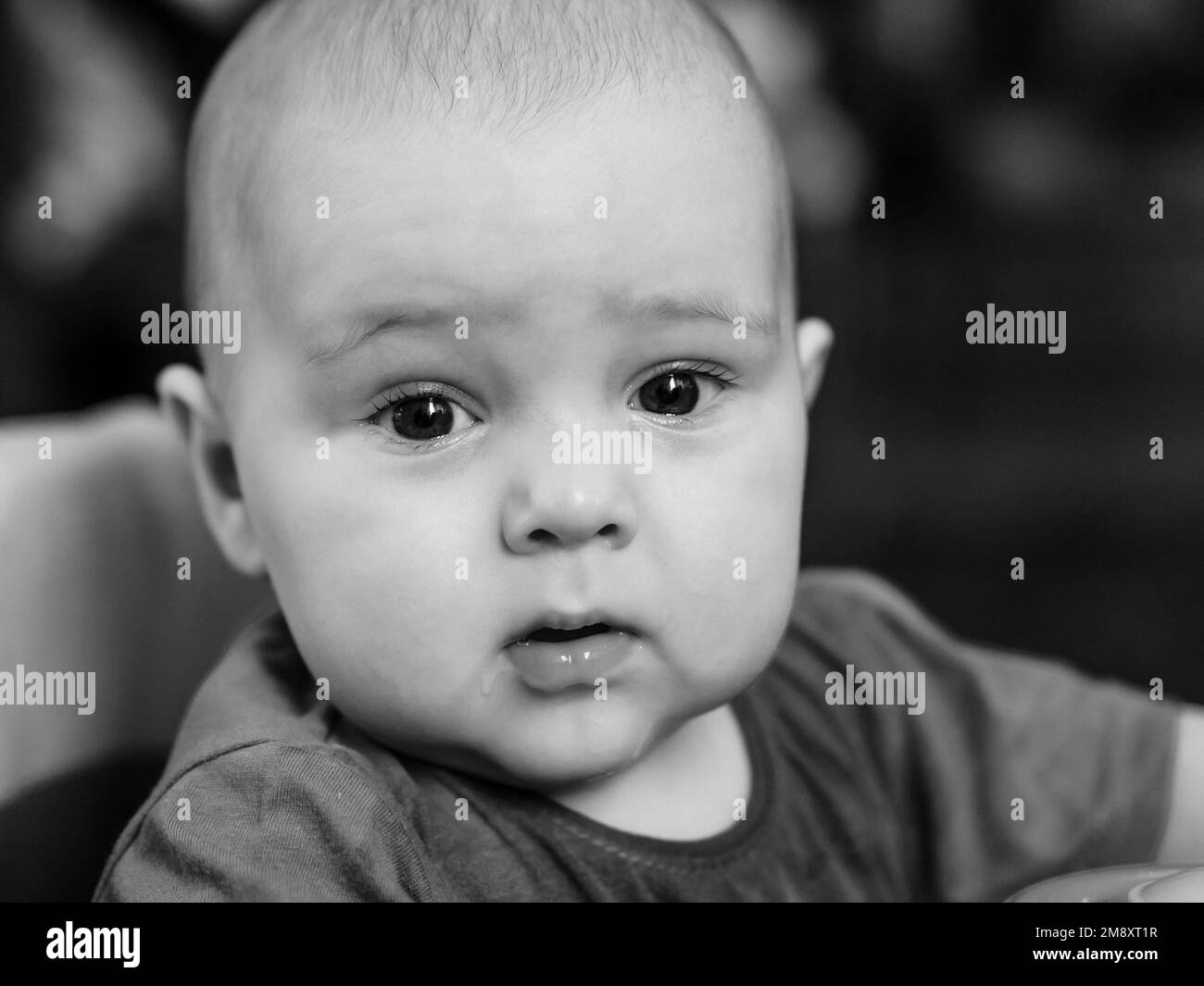 Schwarz-Weiß-Nahporträt eines kleinen Jungen Stockfoto