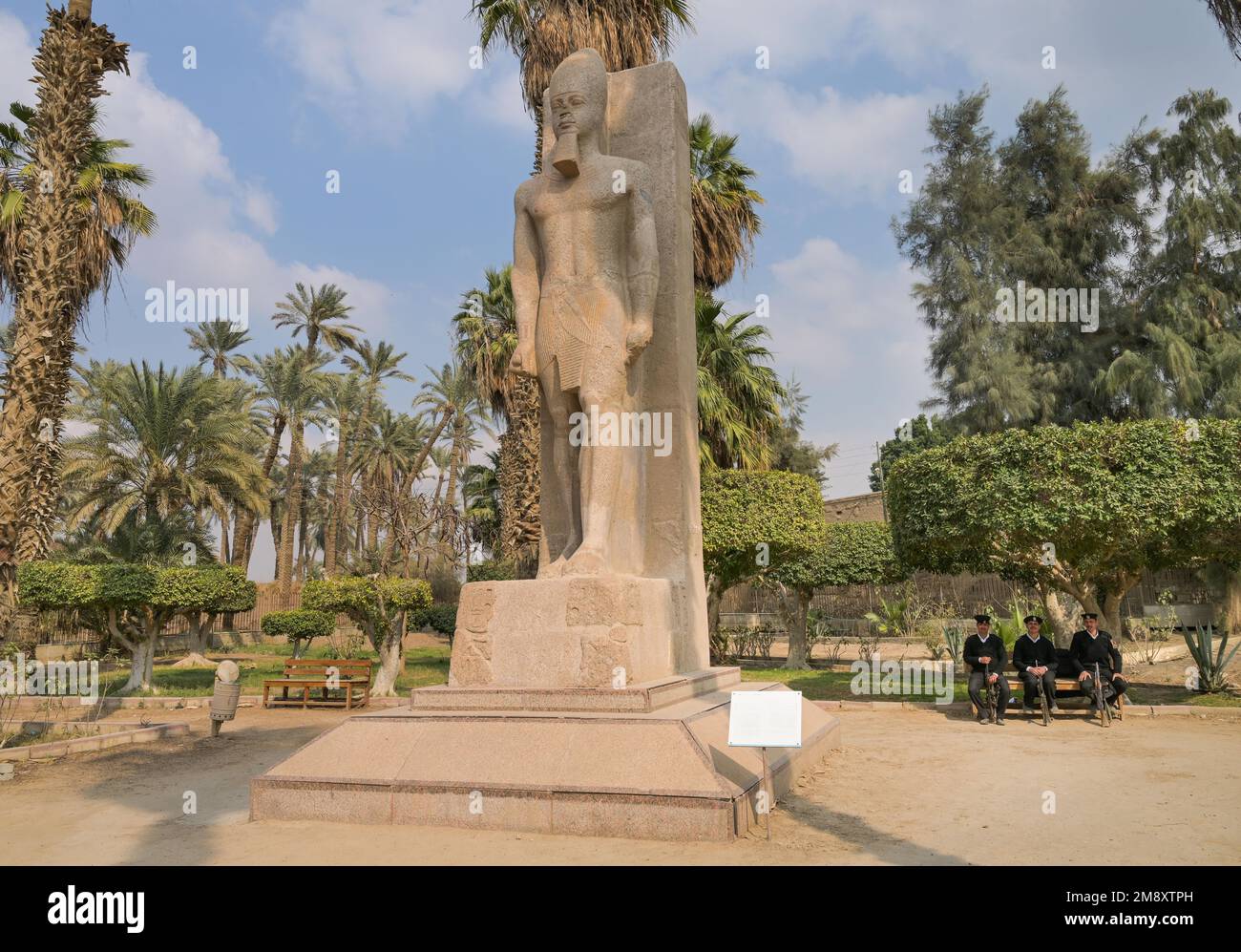 Ramses II, Statue, Skulpturengarten, Museum, mit Rathina, Memphis, Ägypten Stockfoto