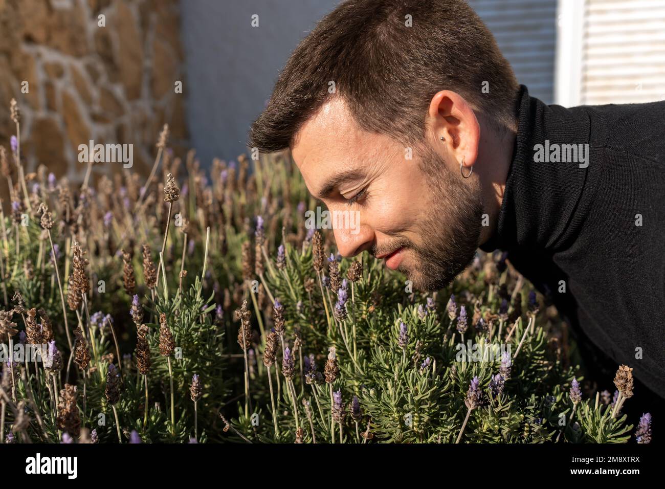 Seitenansicht eines bärtigen Mannes, der sich mit geschlossenen Augen nach vorne lehnt und an sonnigen Tagen blühenden Busch mit Blumen schnüffelt Stockfoto