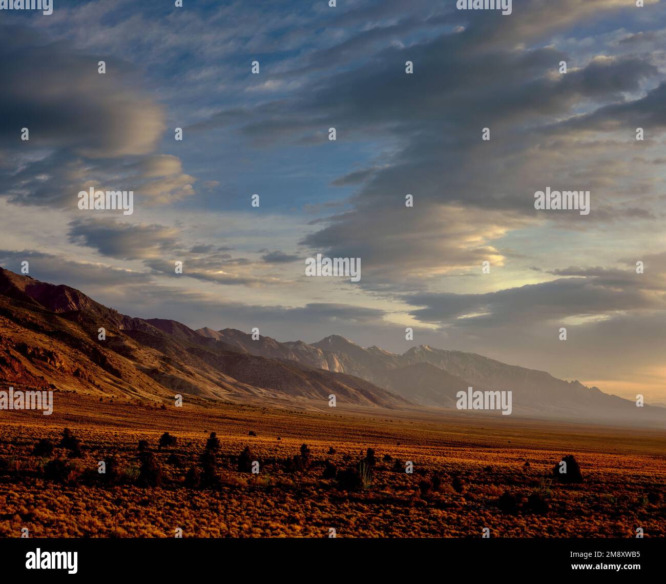 Sunrise, Toiyabe Range, Toiyabe Peak, Toiyabe National Forest, Nye County, Nevada Stockfoto