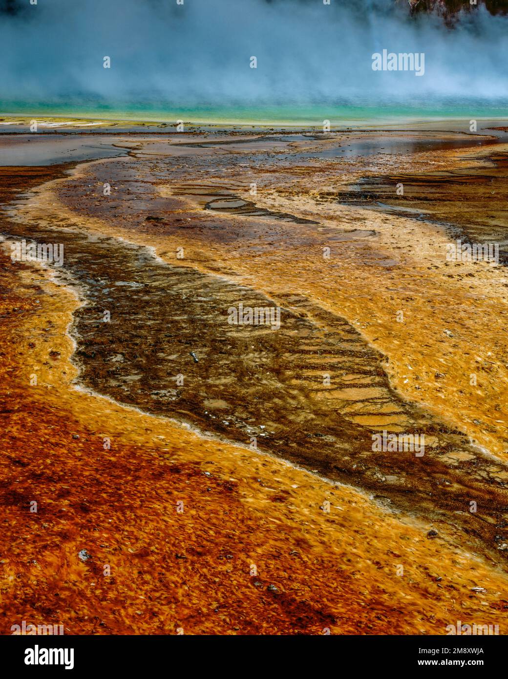 Grand Prismatic Spring, Midway Geyser Basin, Yellowstone-Nationalpark, Wyoming Stockfoto