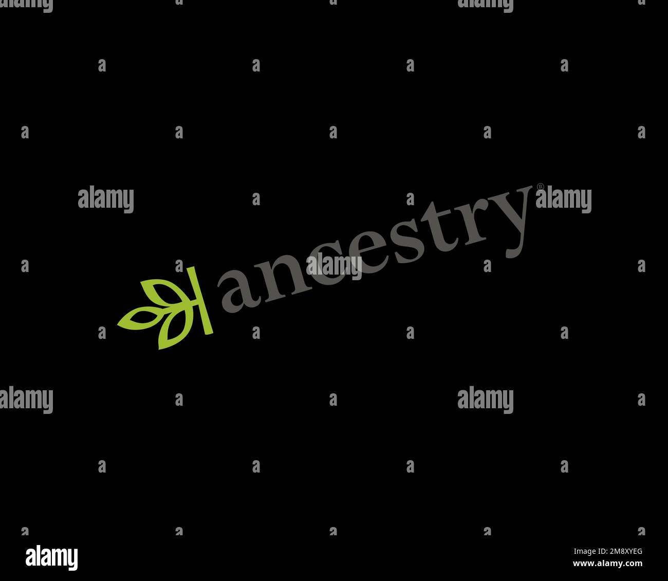 Abstammung. com, gedrehtes Logo, schwarzer Hintergrund Stockfoto