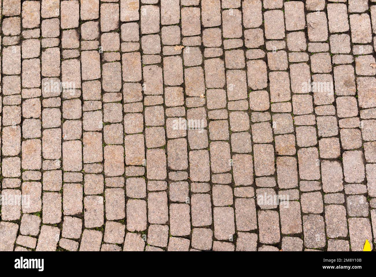 Pflastersteine, Stuttgart, Reihe, Muster, Größe unterschiedlich, Baden-Württemberg, Deutschland Stockfoto