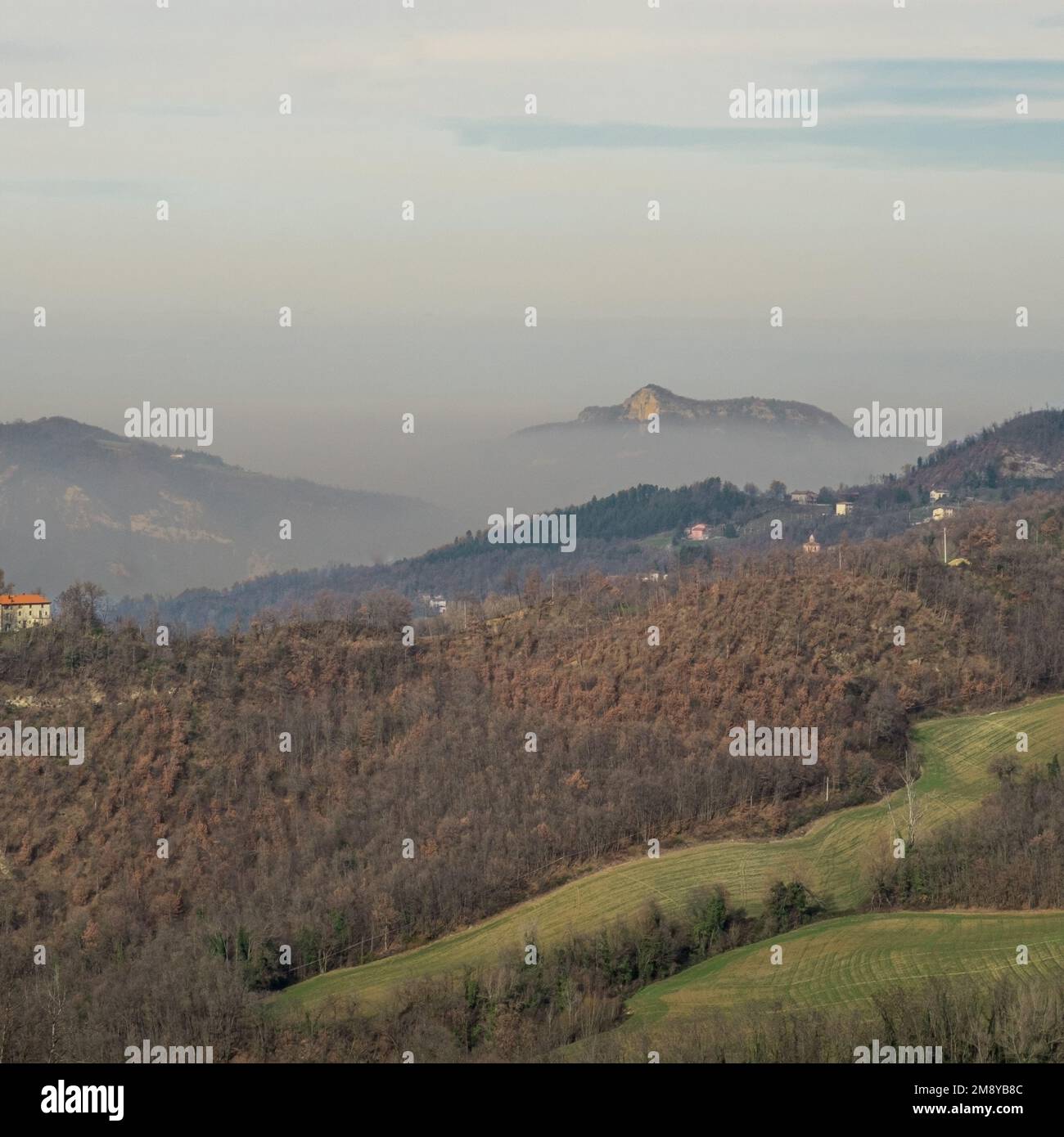 Winterlandschaft im Norden Apennins: Badolo Cliff - Rocca di Badolo - schwebend im Nebel. Gemeinden Loiano und Sasso Marconi, Provinz Bologna Stockfoto