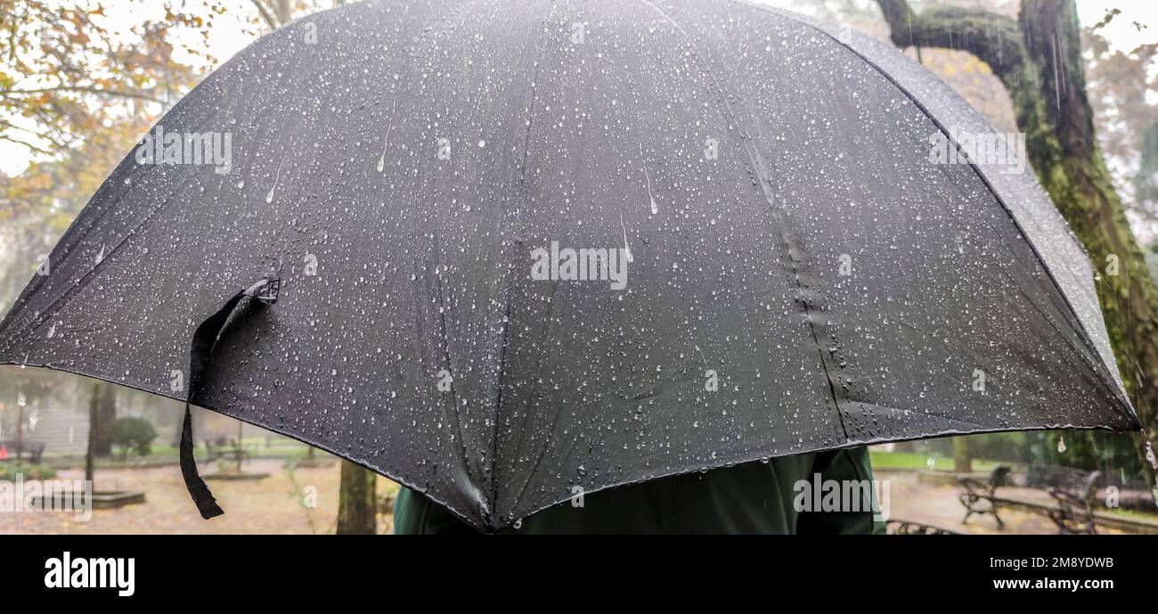 Ein erwachsener Mann, der mit einem großen schwarzen Regenschirm bedeckt ist. Sichtbare gleitende, dicke Regentropfen Stockfoto
