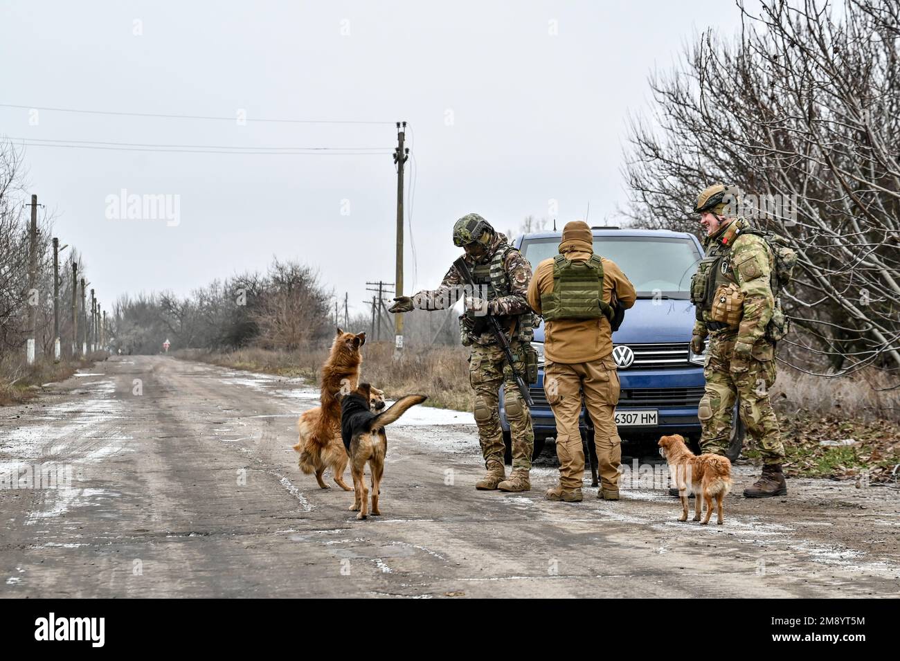 HULIAIPOLE, UKRAINE - 14. JANUAR 2023 - ukrainische Soldaten, die von Hunden umgeben sind, übernachten in einem Auto, das am Straßenrand in der Region Huliaipole, Zaporizhzhia geparkt ist Stockfoto