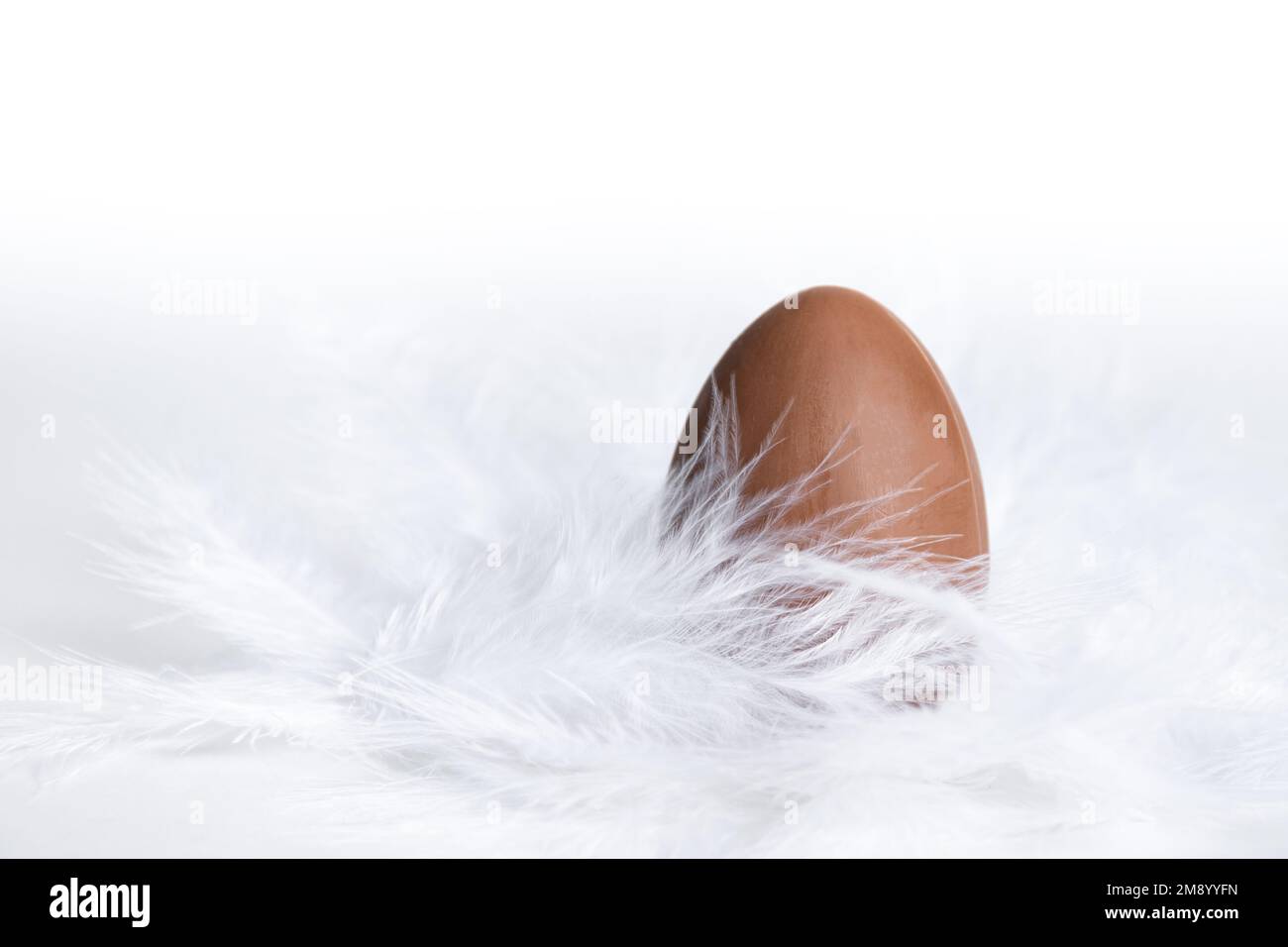 Osterschokoladenei in einem weißen Federnest. Süße Ostertradition. Frühlingsferien. Ostergeschenk für Kinder Stockfoto