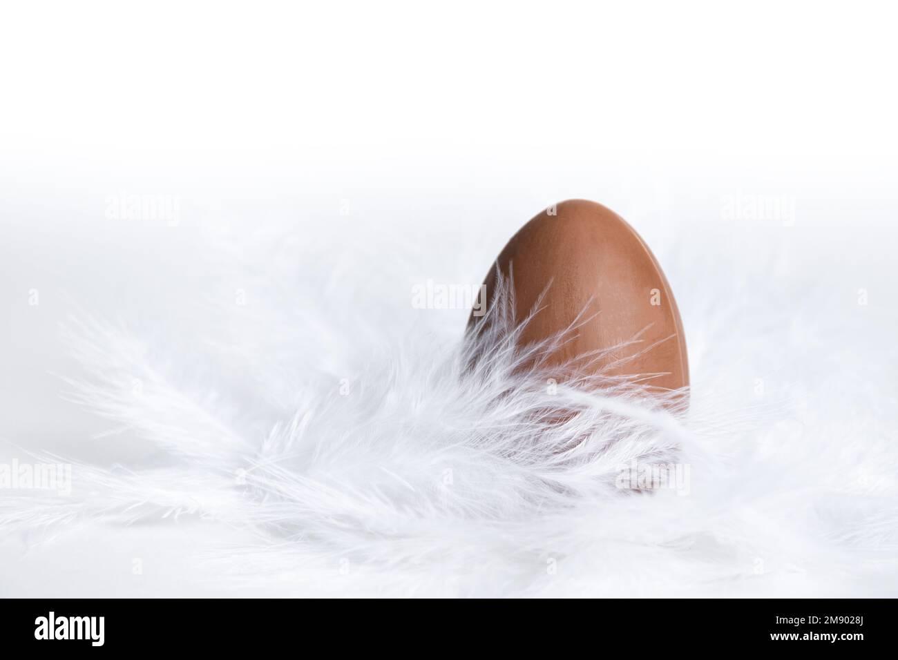 Osterschokoladenei in einem weißen Federnest. Süße Ostertradition. Frühlingsferien. Ostergeschenk für Kinder Stockfoto