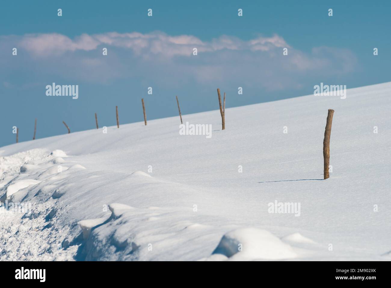 Holzstäbchen für Freilandzäune im Schnee in der Landschaft von Zlatibor Stockfoto